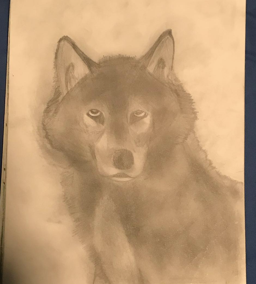 Wolf